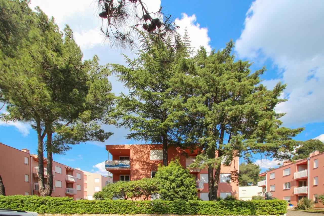 Vesna S Apartment Novigrad  Bagian luar foto